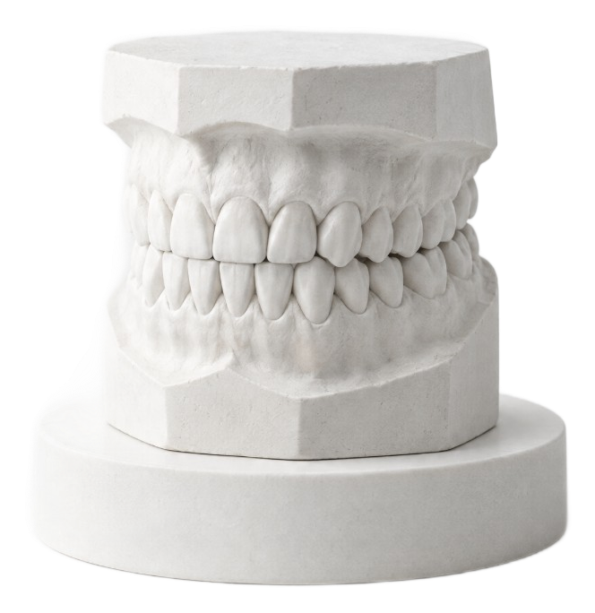 Plaster dental model sculpture (staged image)